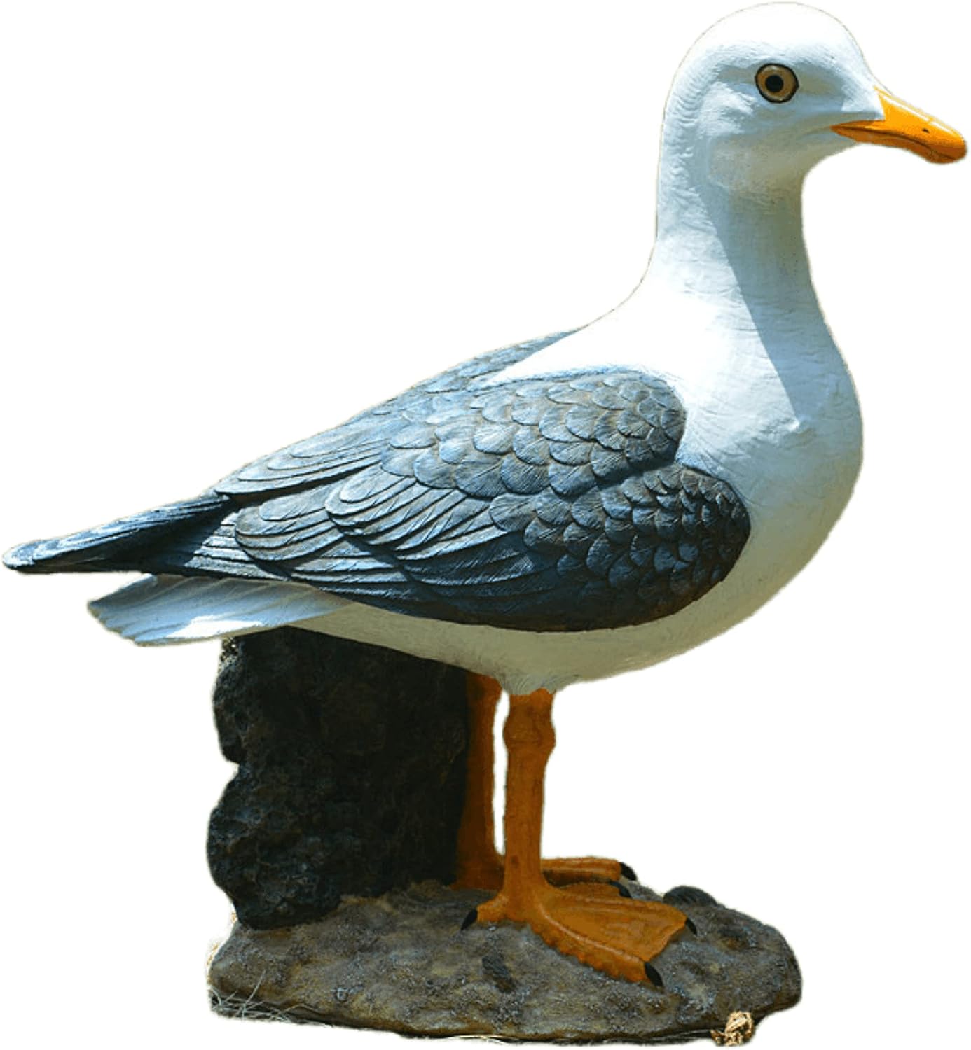 Real Seagull Resin Figurine Decor