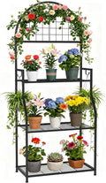 3 Tier Metal Plant Stand