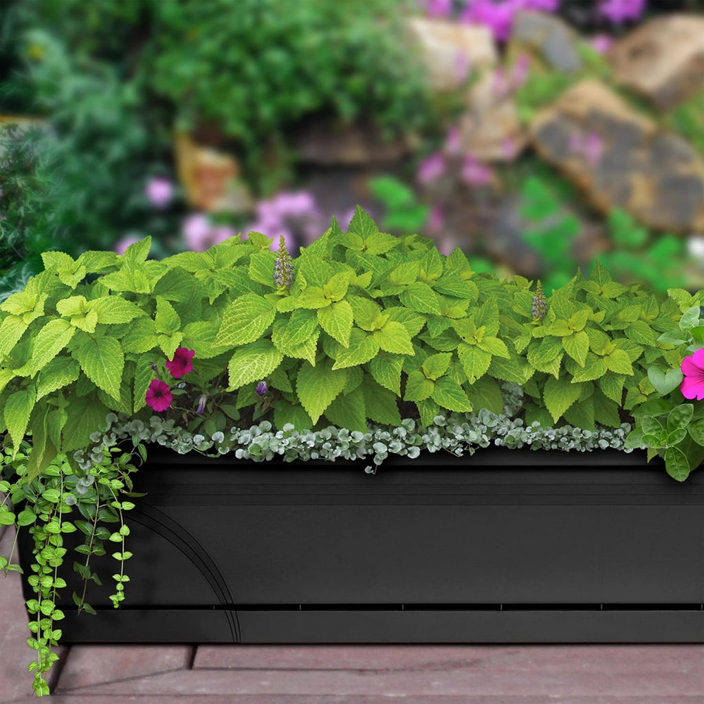 2 Pack Window Box Planter
