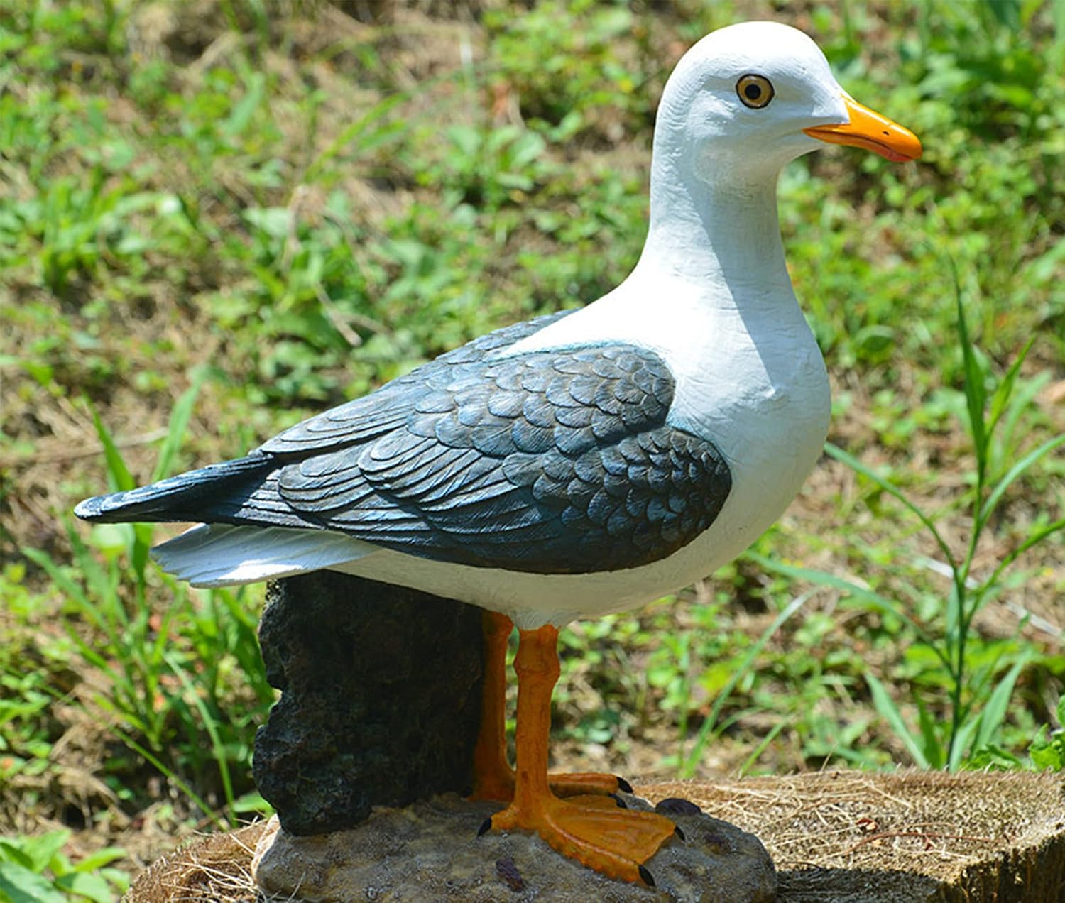 Real Seagull Resin Figurine Decor